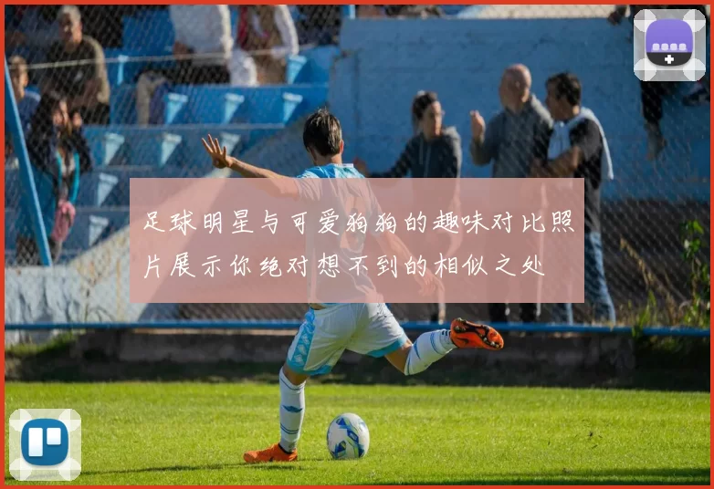 足球明星与可爱狗狗的趣味对比照片展示你绝对想不到的相似之处
