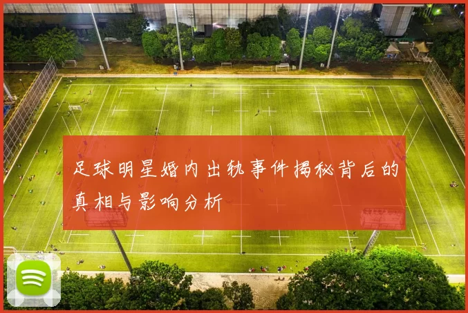 足球明星婚内出轨事件揭秘背后的真相与影响分析