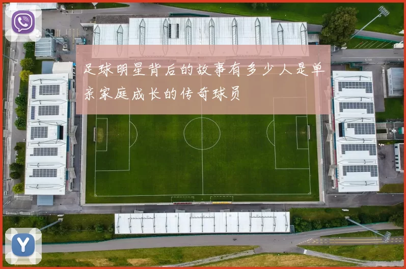 足球明星背后的故事有多少人是单亲家庭成长的传奇球员