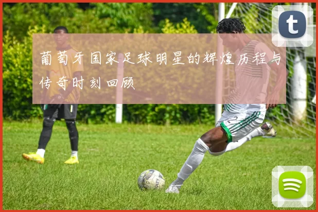 葡萄牙国家足球明星的辉煌历程与传奇时刻回顾
