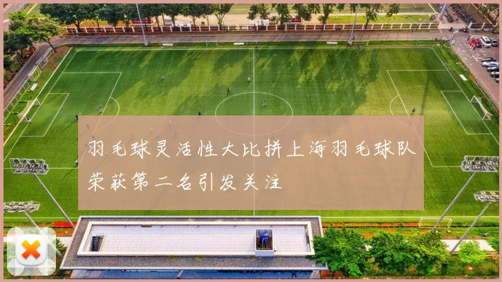 羽毛球灵活性大比拼上海羽毛球队荣获第二名引发关注