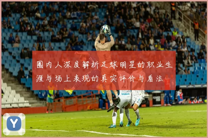 圈内人深度解析足球明星的职业生涯与场上表现的真实评价与看法