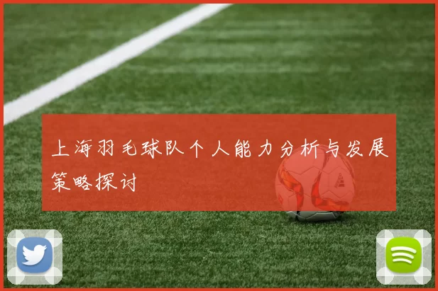 上海羽毛球队个人能力分析与发展策略探讨