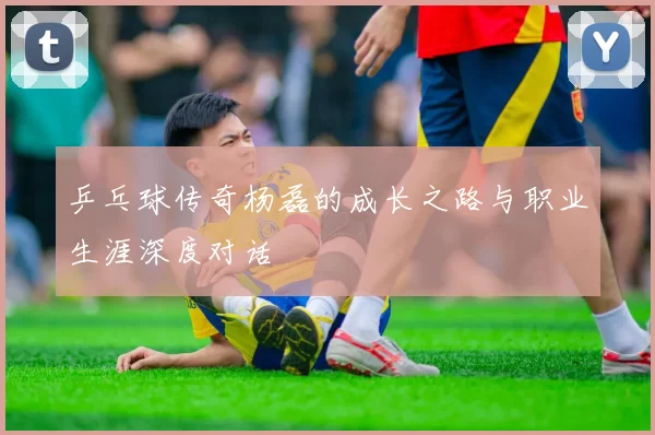 乒乓球传奇杨磊的成长之路与职业生涯深度对话