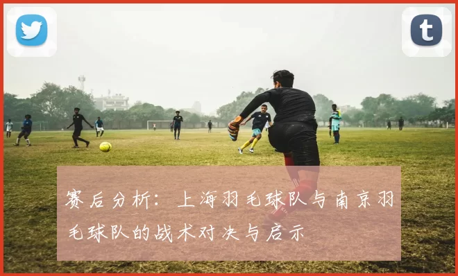 赛后分析：上海羽毛球队与南京羽毛球队的战术对决与启示