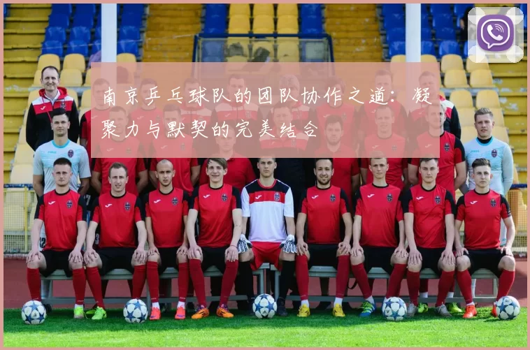 南京乒乓球队的团队协作之道：凝聚力与默契的完美结合