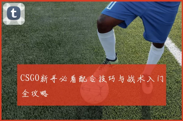 CSGO新手必看配合技巧与战术入门全攻略