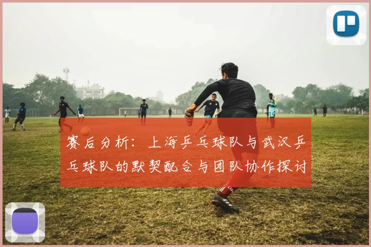 赛后分析：上海乒乓球队与武汉乒乓球队的默契配合与团队协作探讨