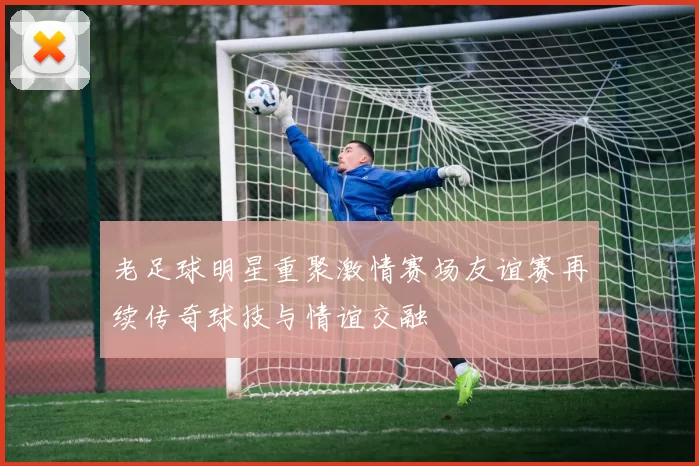 老足球明星重聚激情赛场友谊赛再续传奇球技与情谊交融
