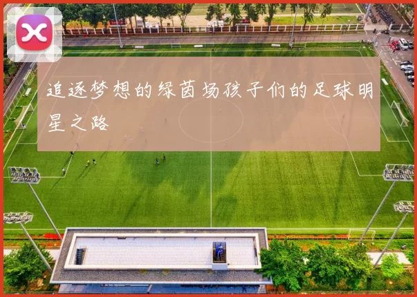 追逐梦想的绿茵场孩子们的足球明星之路