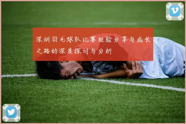 深圳羽毛球队比赛经验分享与成长之路的深度探讨与分析