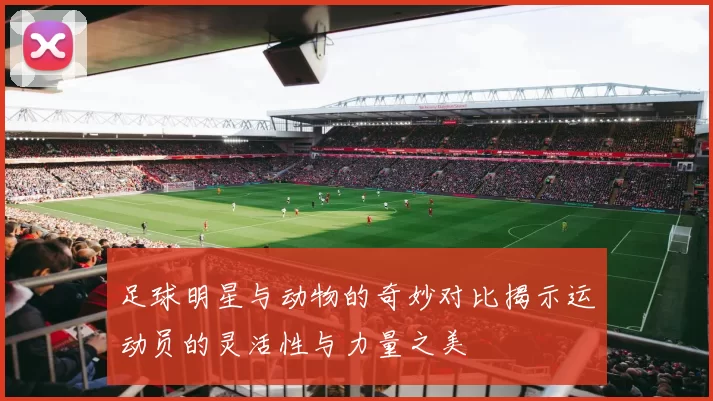 足球明星与动物的奇妙对比揭示运动员的灵活性与力量之美
