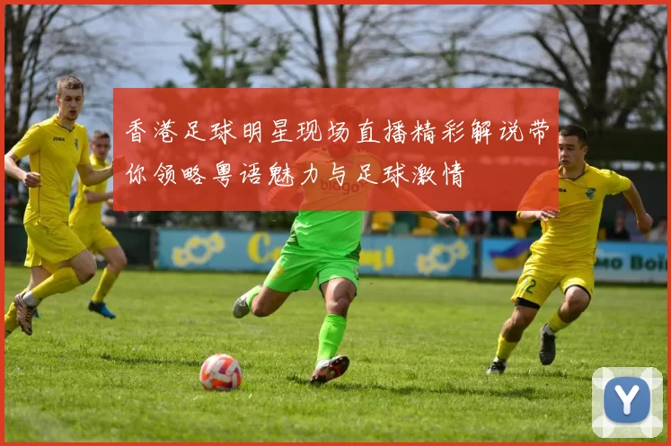 香港足球明星现场直播精彩解说带你领略粤语魅力与足球激情