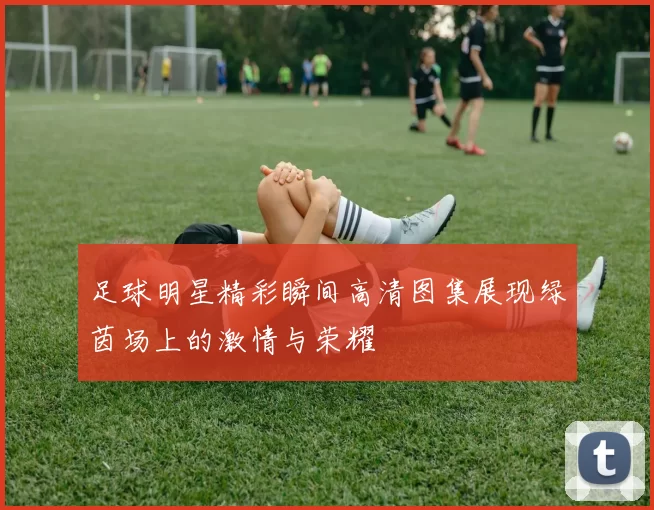 足球明星精彩瞬间高清图集展现绿茵场上的激情与荣耀