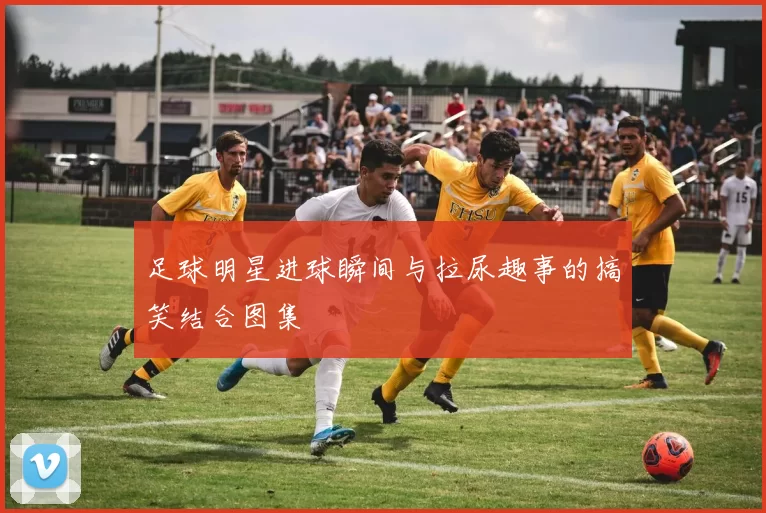 足球明星进球瞬间与拉尿趣事的搞笑结合图集
