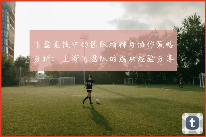 飞盘竞技中的团队精神与协作策略分析：上海飞盘队的成功经验分享