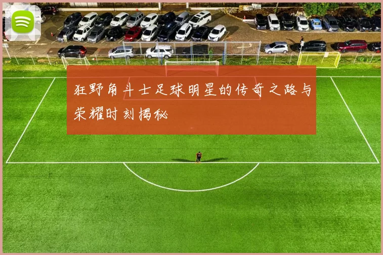 狂野角斗士足球明星的传奇之路与荣耀时刻揭秘